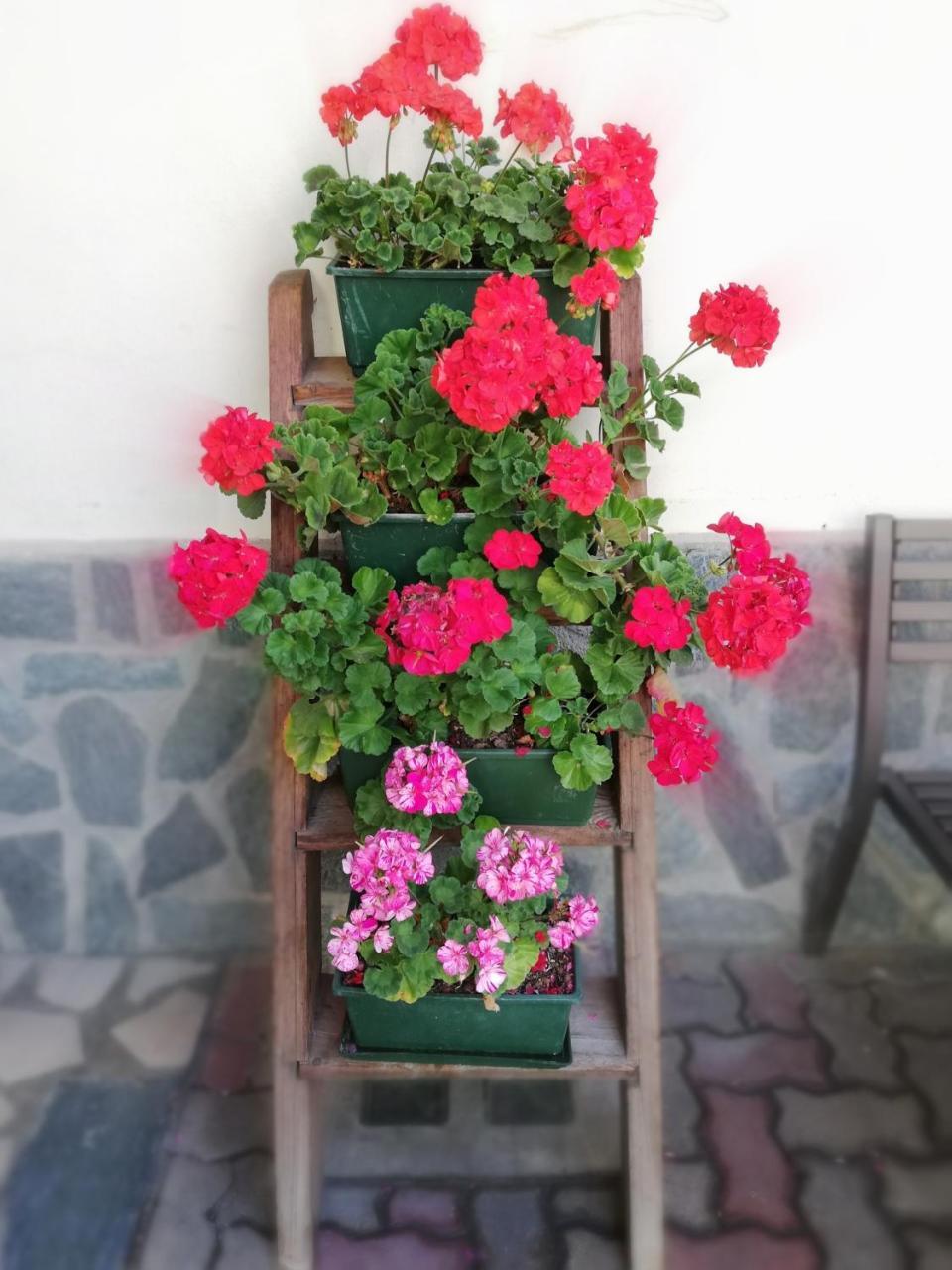 Garni Delia Hotel ลีวินโญ ภายนอก รูปภาพ